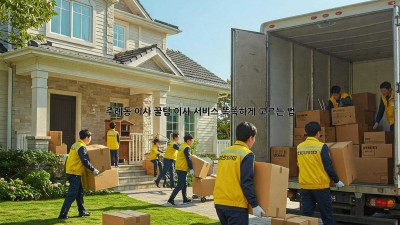 주례동 이사 꿀팁🍯 이사 서비스 똑똑하게 고르는 법!